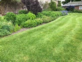 New Graze Lawn Care Services Llc